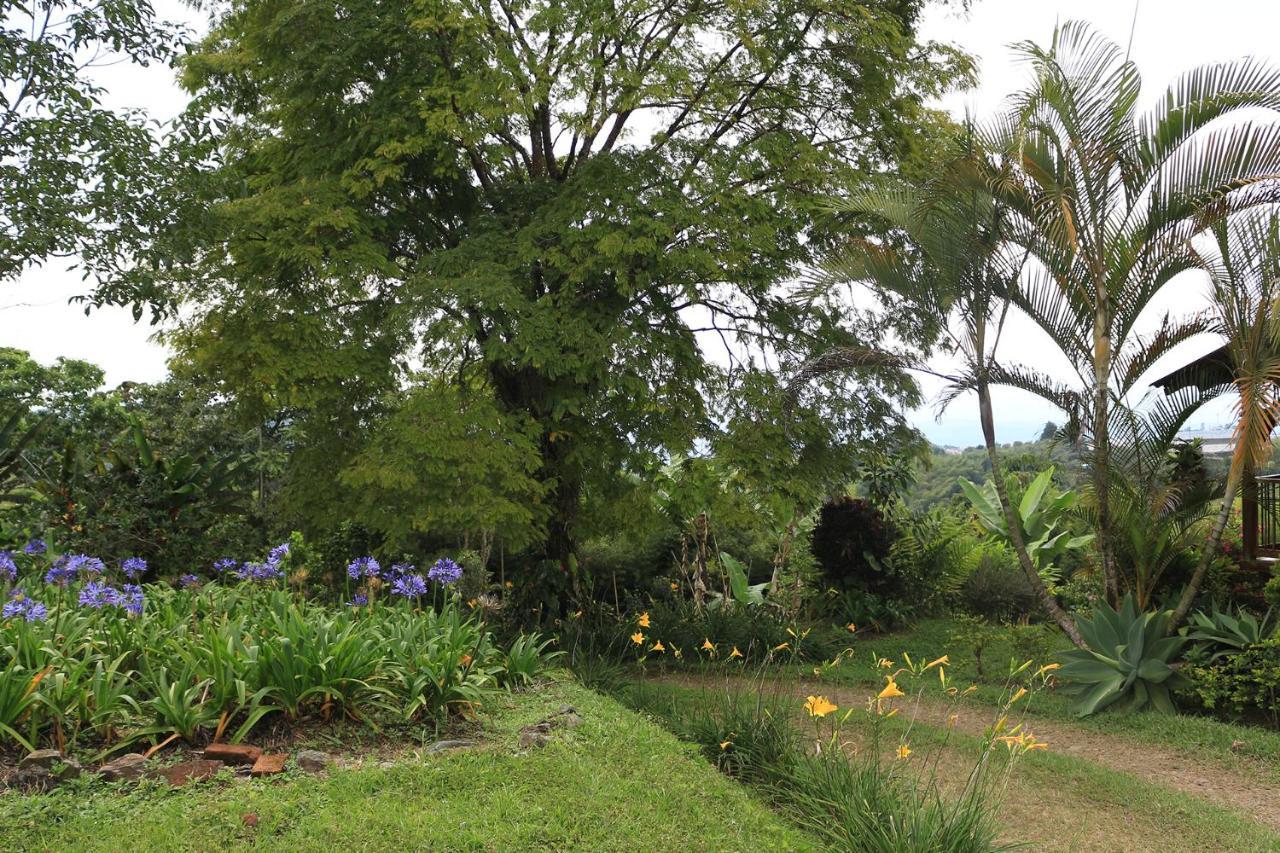 Finca Chalet La Tawa Sevilla  Bagian luar foto